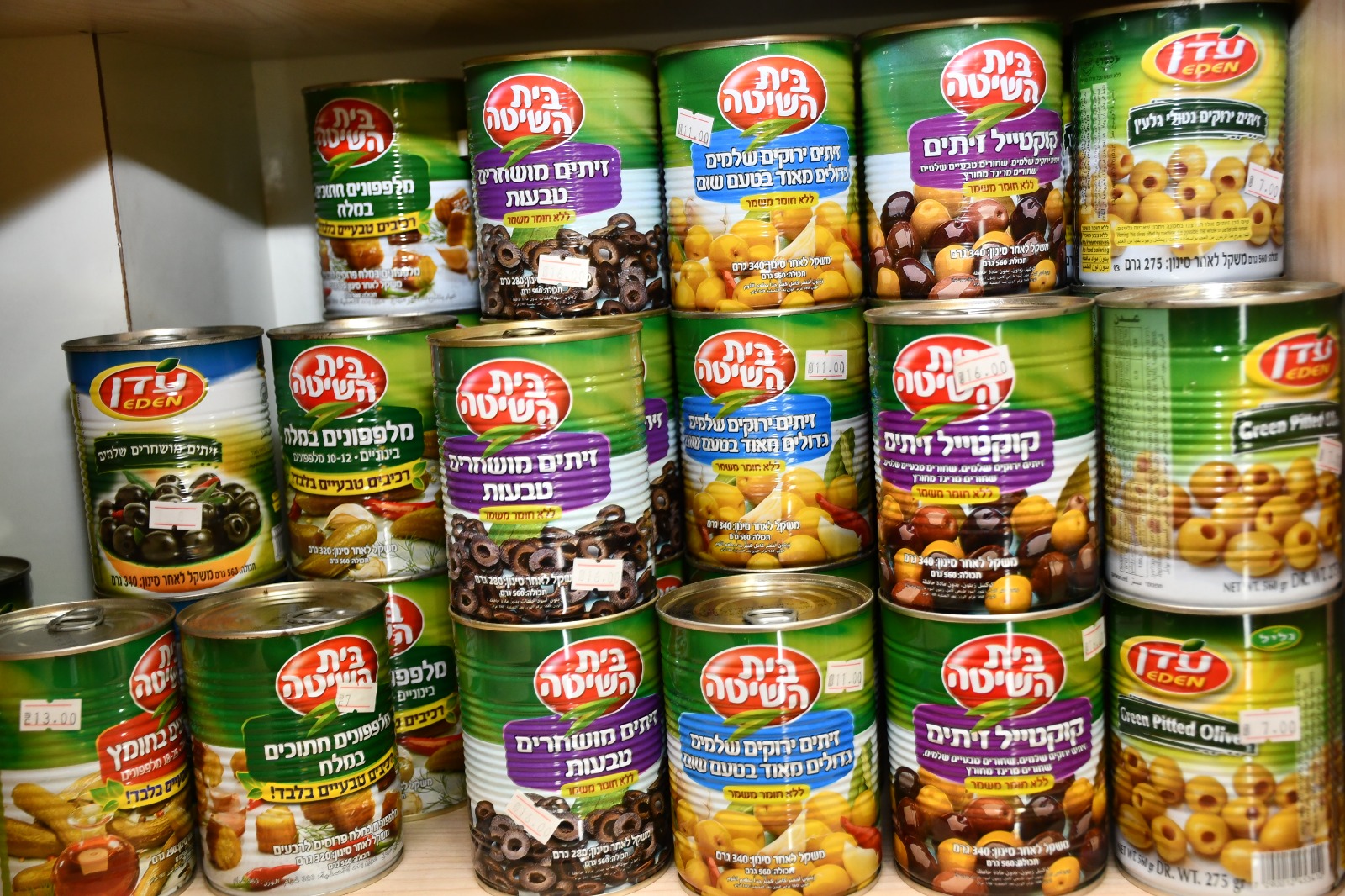 WhatsApp Image 2019-05-02 at 8.46.30 PM (1).jpeg.jpeg